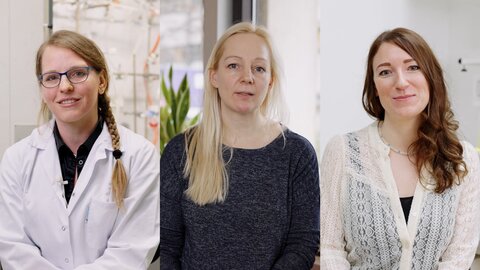 Cornelia von Baeckmann, Elisabeth Salomon und Isabelle Zink