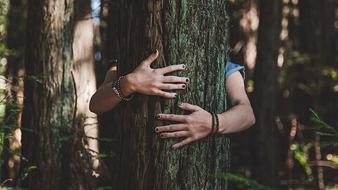 Person umarmt einen Baum