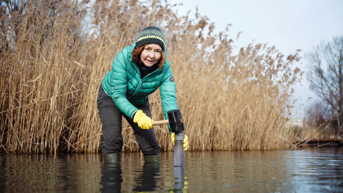 Christa Schleper entnimmt eine Sedimentprobe aus der Donau