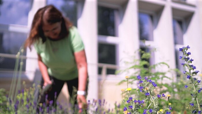 Ein Blumenbeet, im Hintergrund verschwommen Gabriele Berg beugt sich zu den Pflanzen