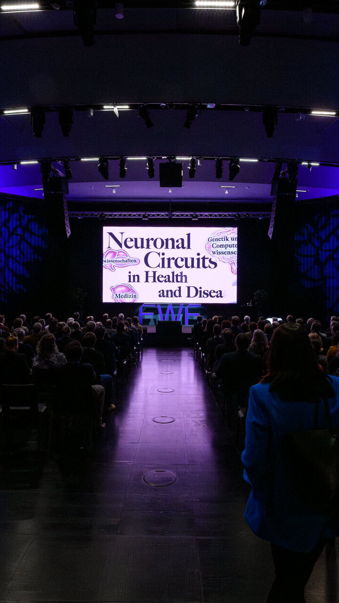 Ansicht von hinten durch den Gang zwischen dem Publikum direkt auf die Leinwand