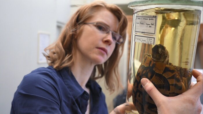 Katharina Streit mit Schildkrötenpräparat im Glas