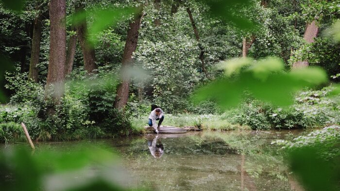 M&auml;nnlicher Forscher entnimmt eine Wasserprobe aus einem Moor im Wald 