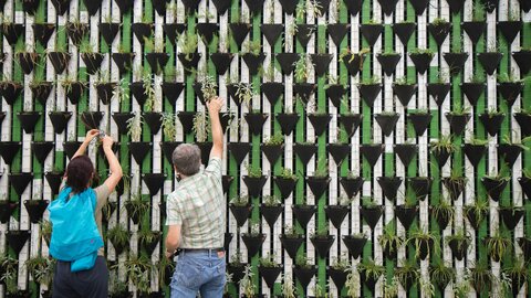 Zwei Personen pflegen eine vertikale Pflanzenwand mit vielen Pflanztaschen 