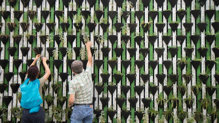 Zwei Personen pflegen eine vertikale Pflanzenwand mit vielen Pflanztaschen 
