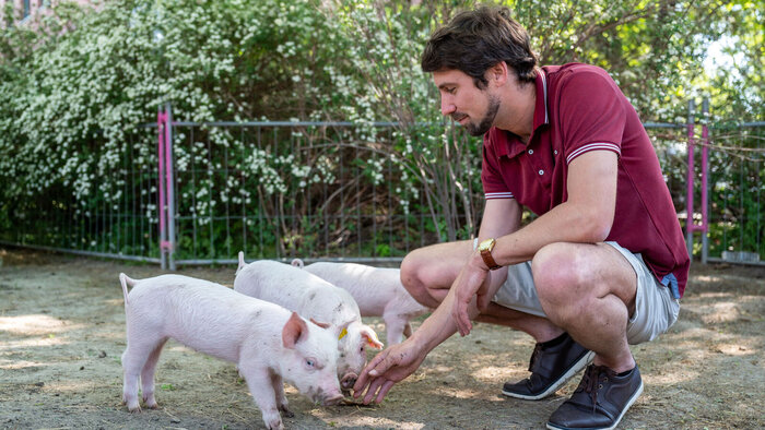 Tierforscher Jean-Loup Rault streichelt Schweine