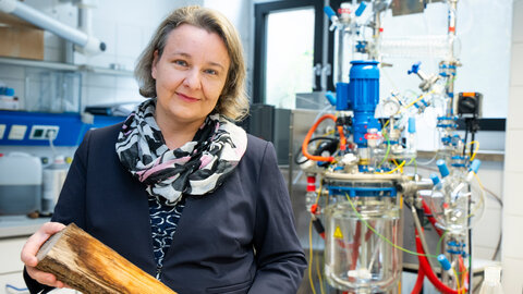 Chemikerin im Labor hält Holzstück in den Händen