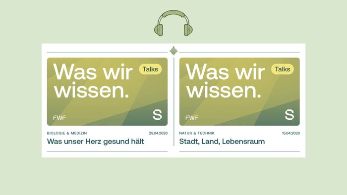 Grafik &bdquo;Was wir wissen&ldquo;-Talks