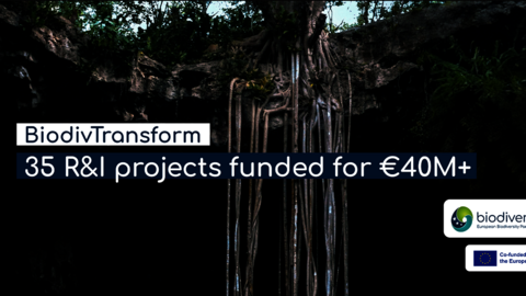 Screenshot aus der biodiversa+-Pressemeldung