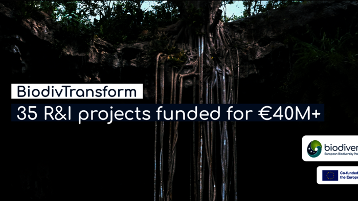 Screenshot aus der biodiversa+-Pressemeldung