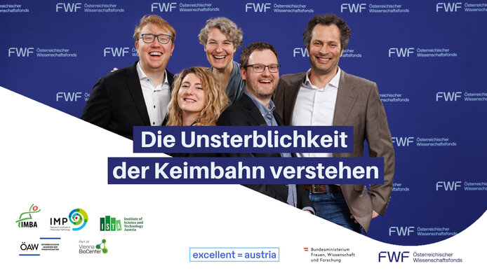 Konsortiumsmitglieder und Forschungsstätten (v. l. n. r.) vor FWF-Logowand: Sven Klumpe (IMP – Forschungsinstitut für Molekulare Pathologie; IMBA – Institut für Molekulare Biotechnologie, ÖAW), Anđela Šarić (Institute of Science and Technology Austria (ISTA)), Andrea Pauli (Koordinatorin, IMP – Forschungsinstitut für Molekulare Pathologie), David Haselbach (IMP – Forschungsinstitut für Molekulare Pathologie), Julius Brennecke (IMBA – Institut für Molekulare Biotechnologie, ÖAW)