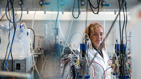 Mikrobiologin Christa Schleper