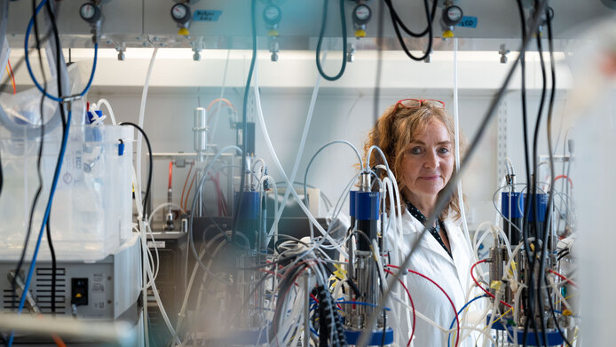 Microbiologist Christa Schleper